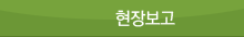 현장보고